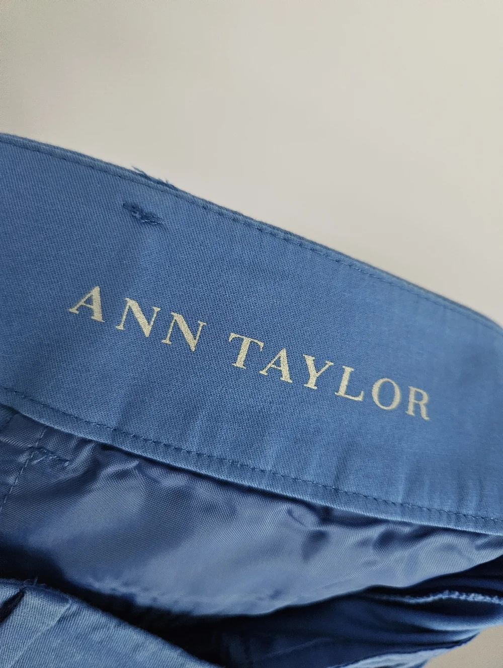 Ann Taylor Blue Shorts
